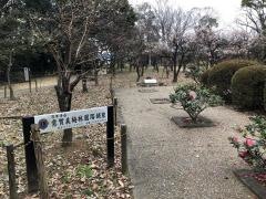 意賀美神社（枚方市）