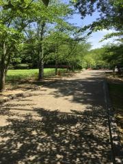 水間公園