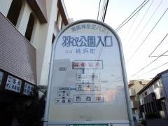 「羽衣公園入口」バス停留所