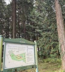 「秩父宮記念公園」バス停留所