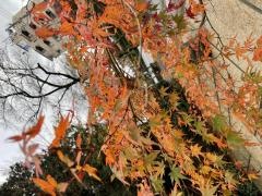 「秩父宮記念公園」バス停留所