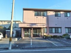 すみれ