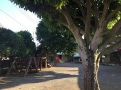 三愛幼稚園