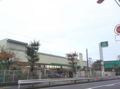 Ｆｕｊｉ鵠沼店
