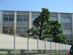 愛知県立古知野高等学校
