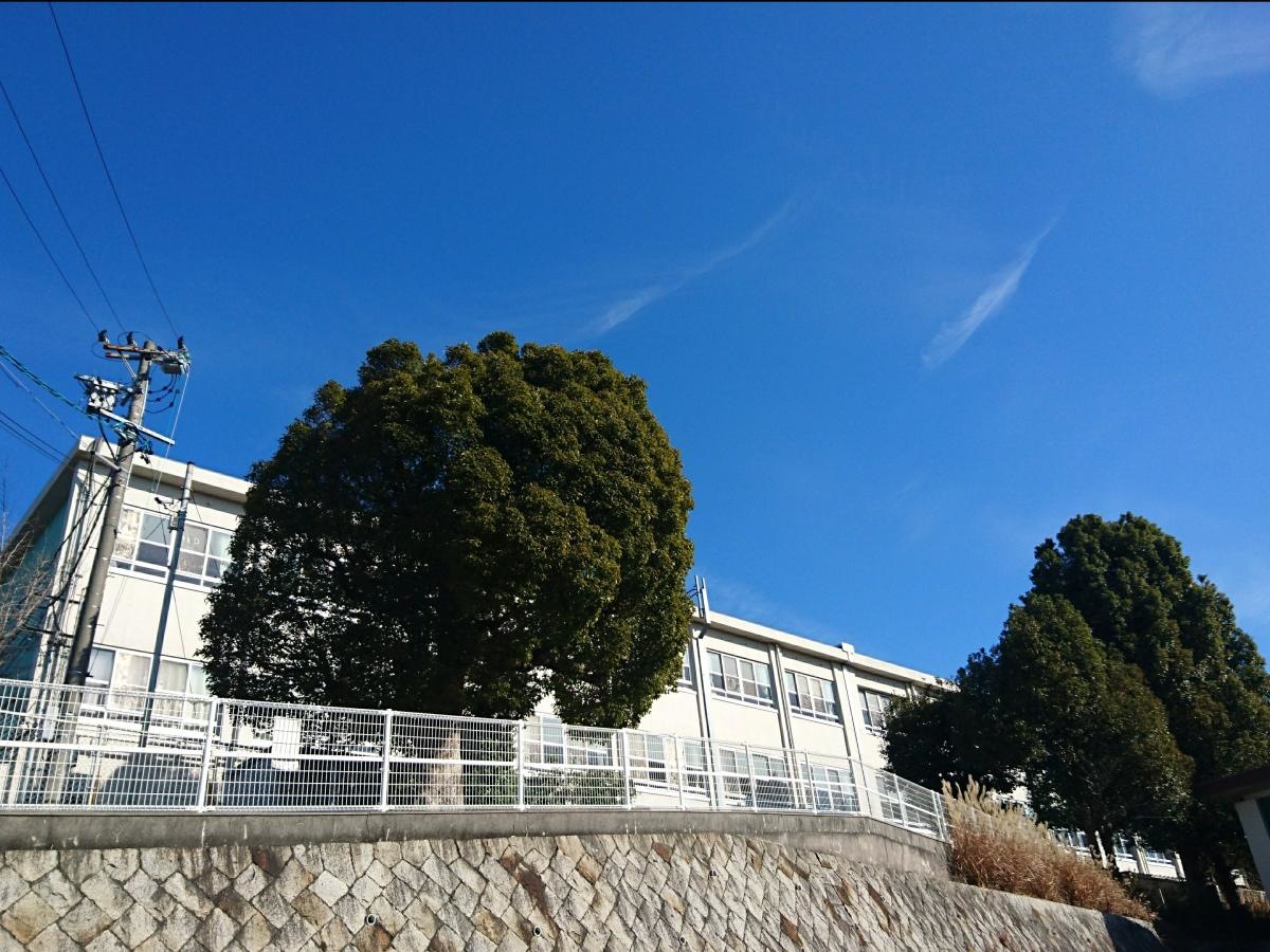 緑高校