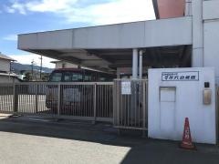 すみれ幼稚園