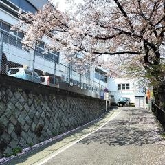 牧山小学校