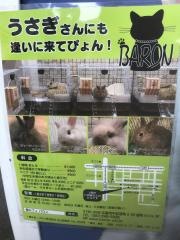 猫カフェ・バロン