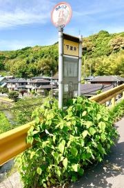 「下政井」バス停留所