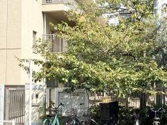 月島聖ルカ保育園