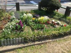 中田緑地