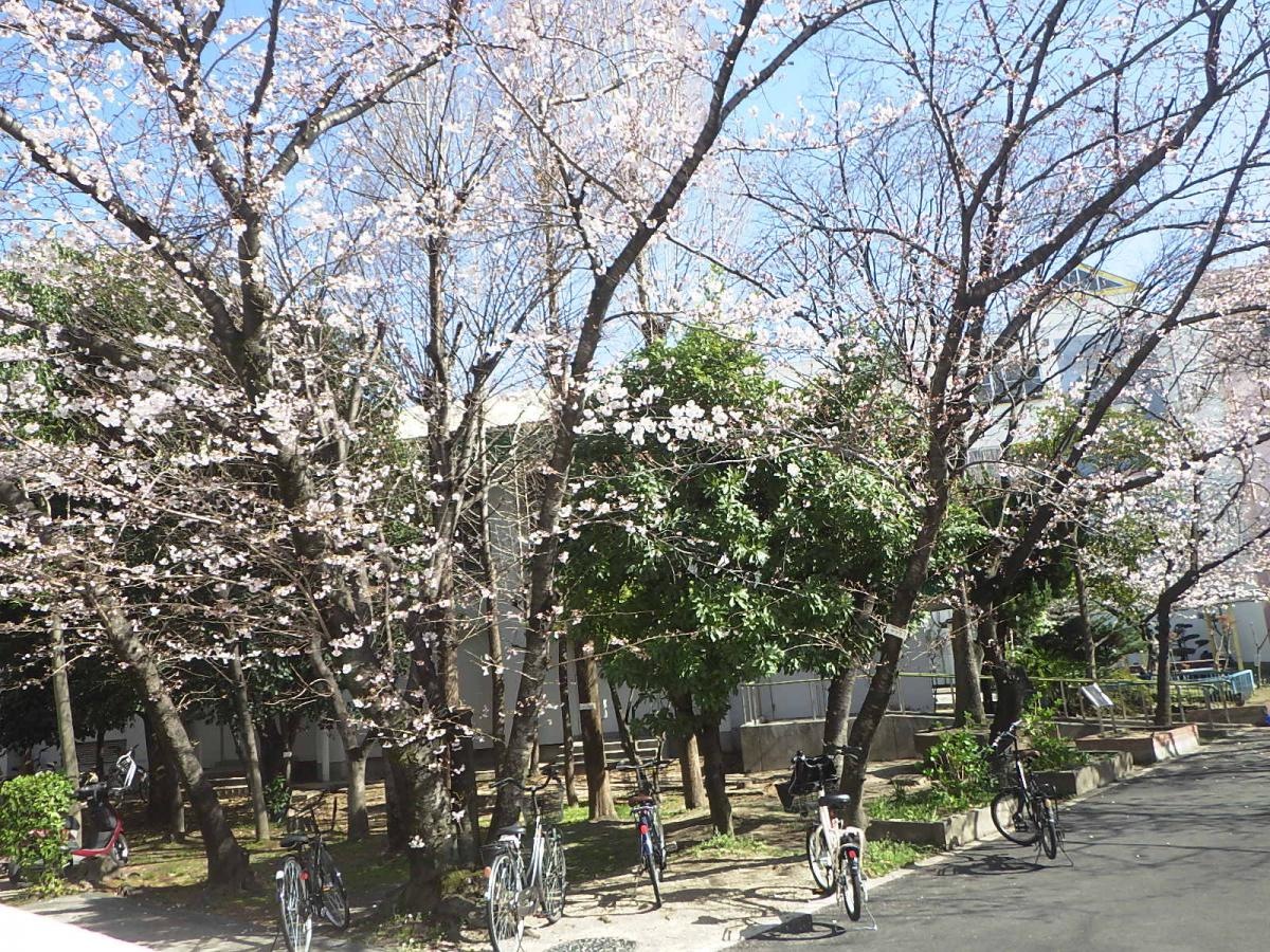 門真市立速見小学校です。