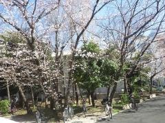 速見小学校
