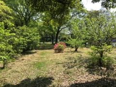 大洲緑地愛鳥の森