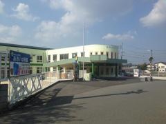 葵幼稚園