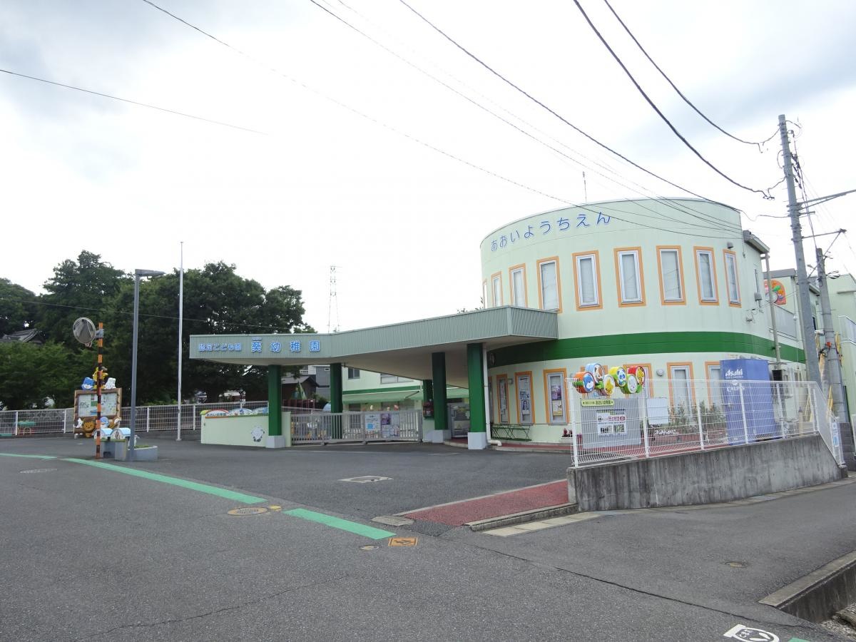 葵幼稚園です。