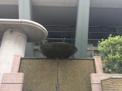 私立渋谷教育学園渋谷中学校