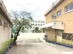 高見小学校