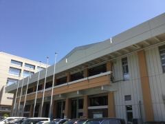 名古屋市体育館