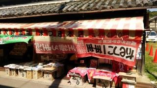 松木書店