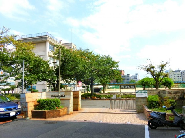 投稿写真1