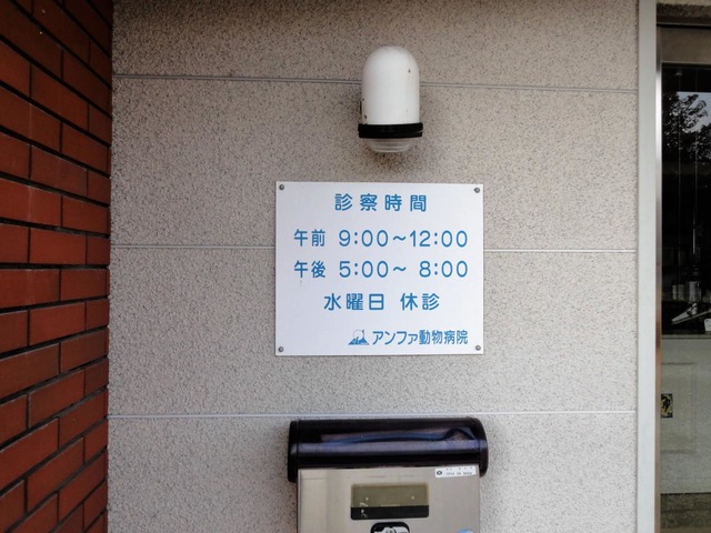 投稿写真3