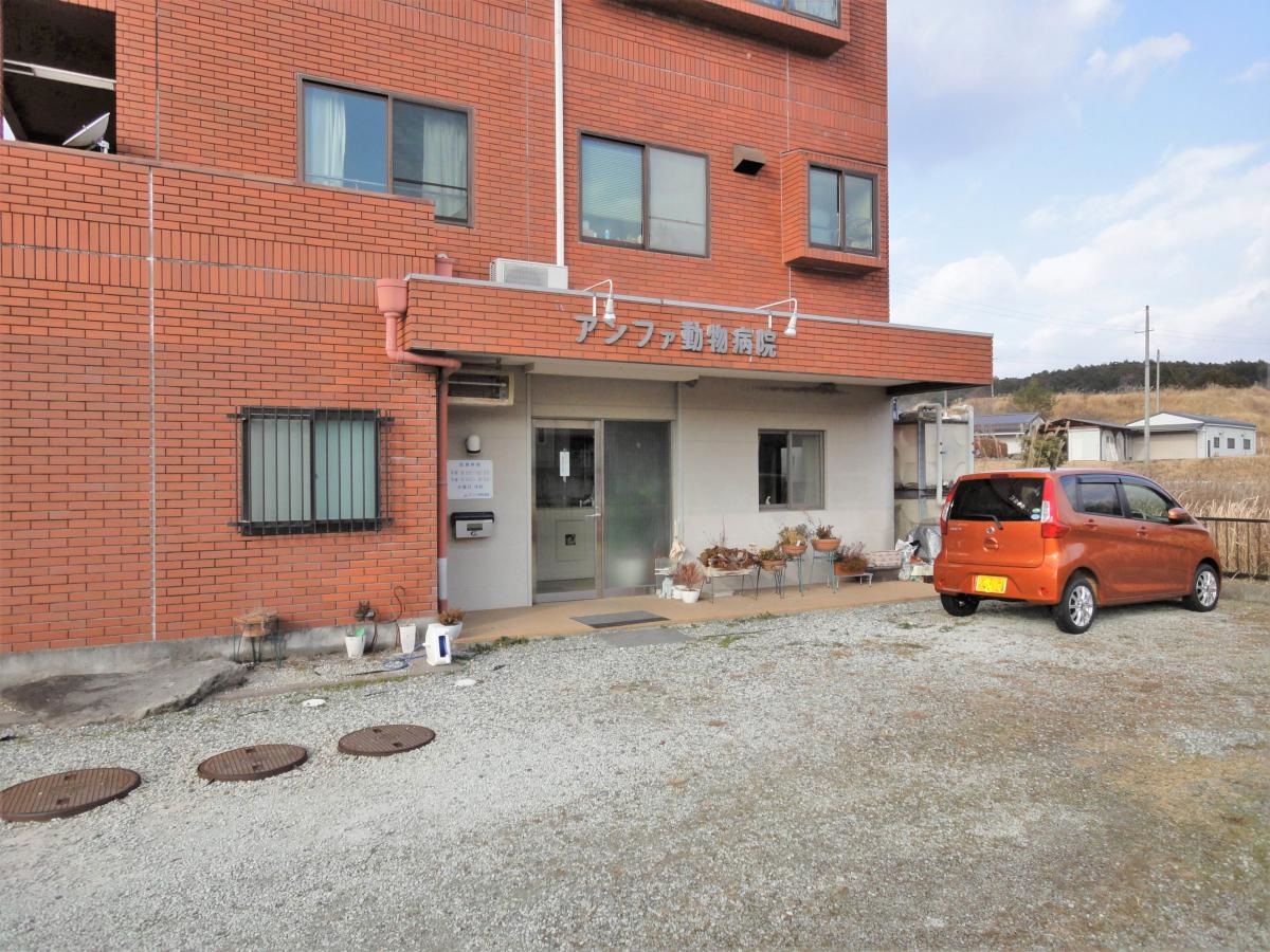 アンファ動物病院