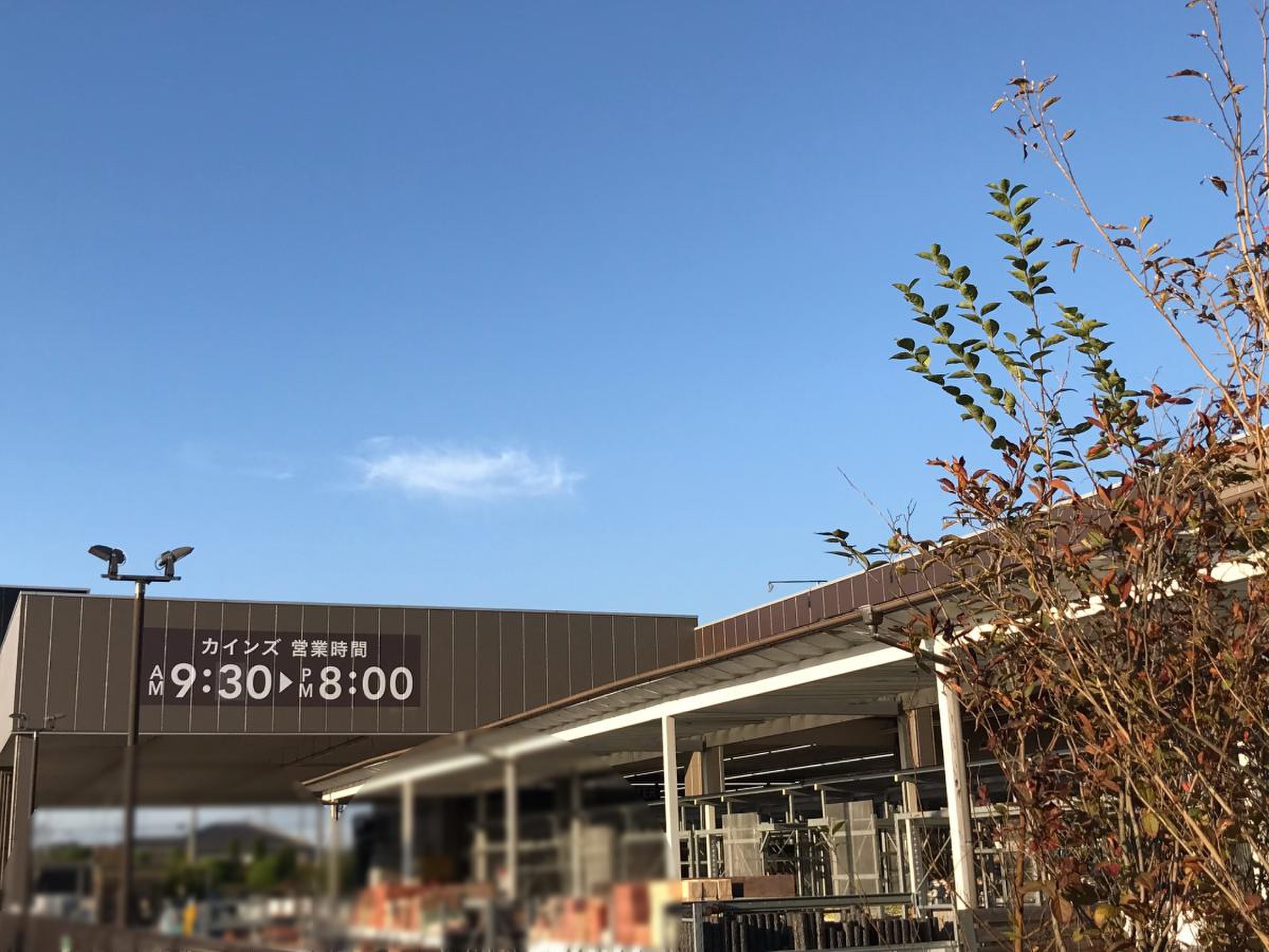 カインズ 大 利根 店