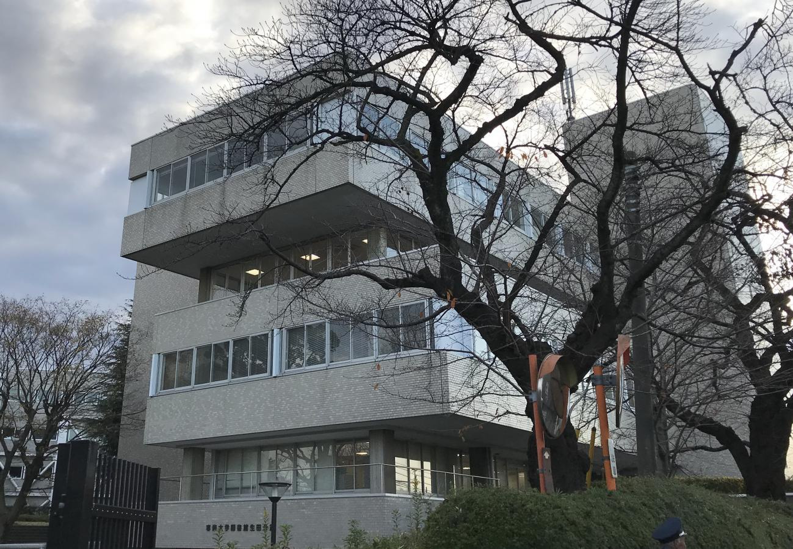 公の場での発言・インタビュー報道記録