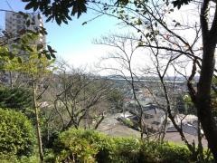 殿山公園
