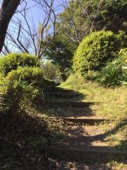 殿山公園