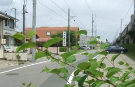 堀野歯科医院