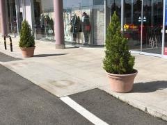 ファッションセンターしまむら　長井店