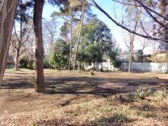 盆栽中央緑地公園