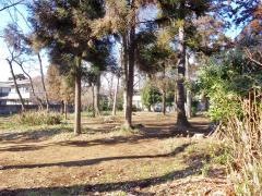 盆栽中央緑地公園