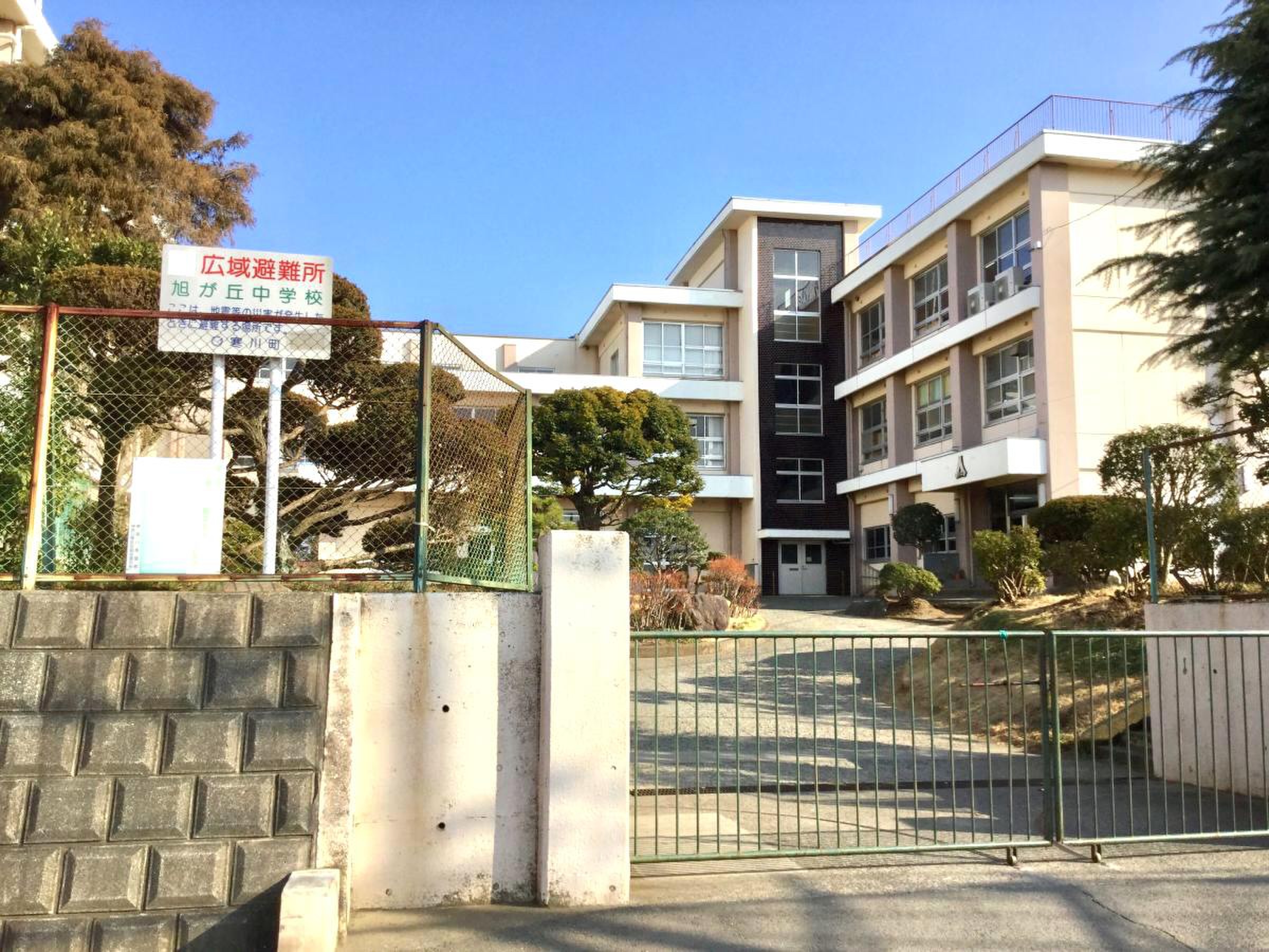 活動歴および当時の関連ビジュアル記録