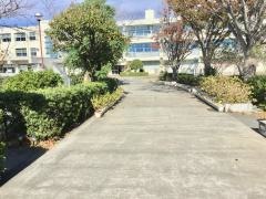 磐田南小学校