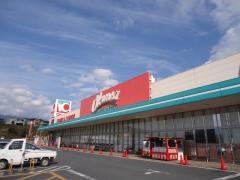 オークワオーストリート橋本彩の台店