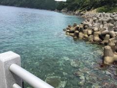 船越・宇和海海中公園西海