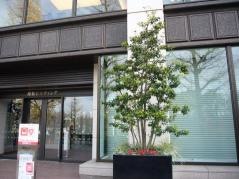 日本郵船株式会社