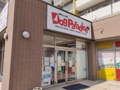 ドッグパラダイス