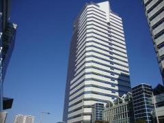 Ｓｈｉｎｗａ　Ｗｉｓｅ　Ｈｏｌｄｉｎｇｓ株式会社