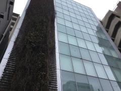 杉田エース株式会社