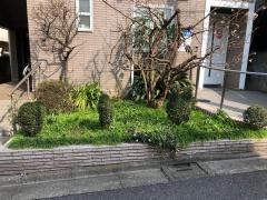 宇佐美歯科医院