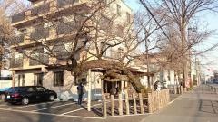 平作