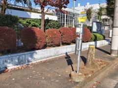 「青梅看護専門学校」バス停留所