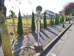 「青梅看護専門学校」バス停留所