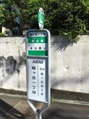 「桜ケ丘一丁目」バス停留所