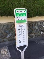 「桜ケ丘一丁目」バス停留所